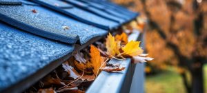 leaves clogging up gutters in autumn
