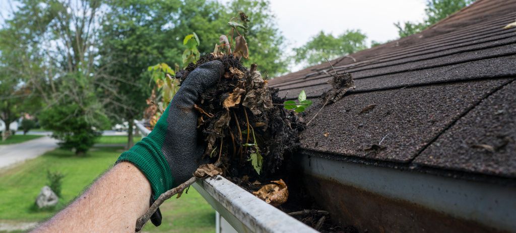 Person maintaining gutter by removing leaves and debris